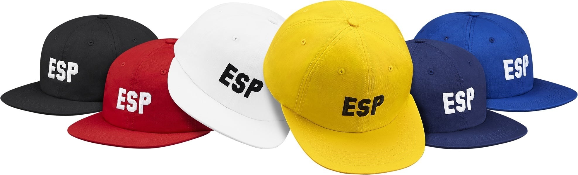 ESP 6-Panel